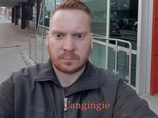 Cangingie