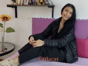 Carlacat