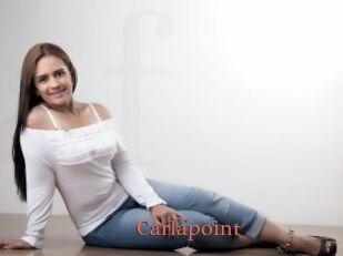 Carlapoint