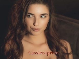 cassiecaprice Anal Favorite