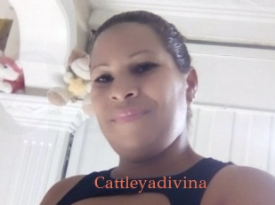 Cattleyadivina