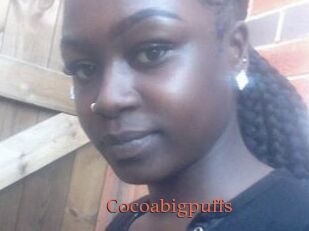Cocoabigpuffs