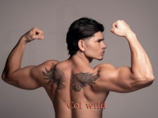 col_wild Anal Favorite