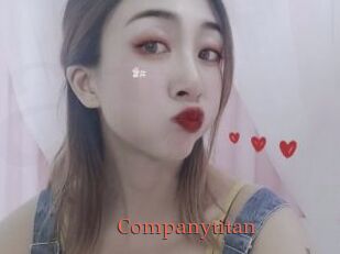 Companytitan