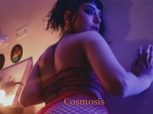 Cosmosis