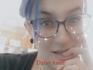 DaisyAster