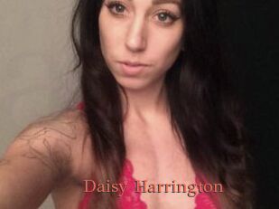 Daisy_Harrington