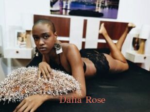 Dalia_Rose