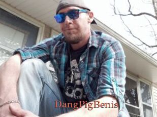 DangPigBenis