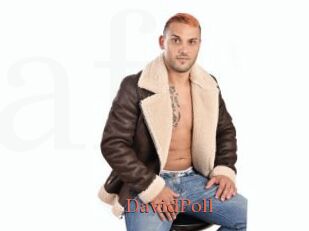 DavidPoll