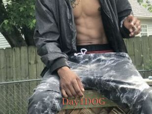 Day1DOG