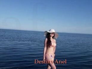 DestinyAnel