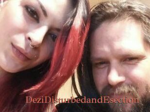DeziDisturbedandEsection