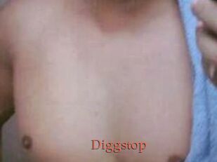 Diggstop