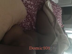 Domic101
