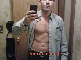Dominantmale