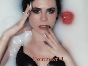 DomineerVi