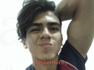 Dylanhorny
