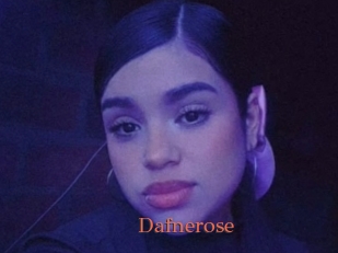 Dafnerose