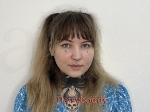 Daisyboddy