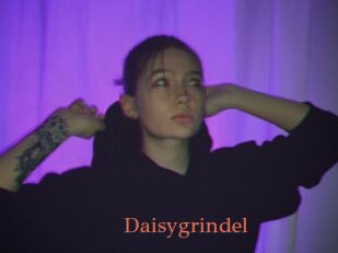 Daisygrindel