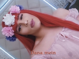 Dana_mein