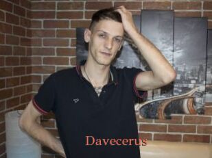 Davecerus