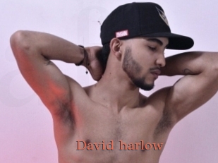 David_harlow