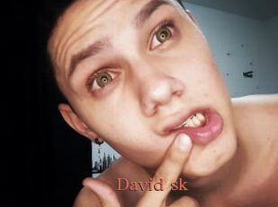 David_sk