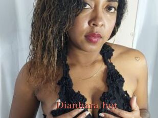 Dianhara_hot