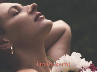 Divinakarni