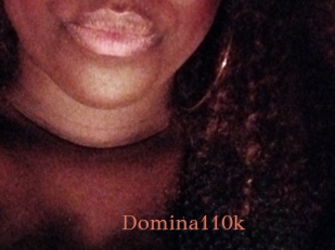 Domina110k