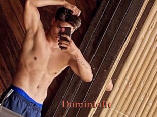 Dominiofit