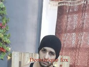Dominique_fox