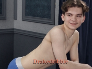 Drakedribble