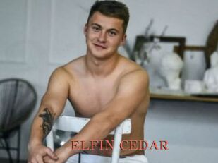 ELFIN_CEDAR