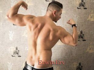 ErwinErv