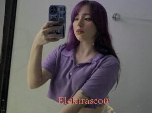 Elektrascott