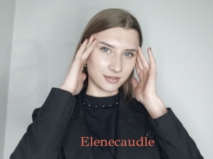 Elenecaudle