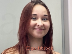 Elgaalsbrook