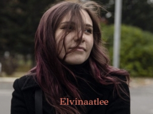 Elvinaatlee