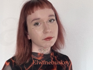 Elwinebuskey