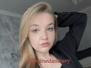 Elwinedanbury