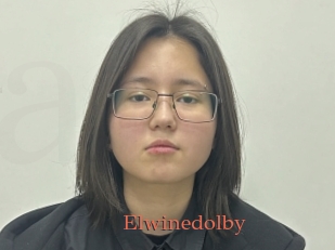Elwinedolby