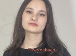 Elwynabach