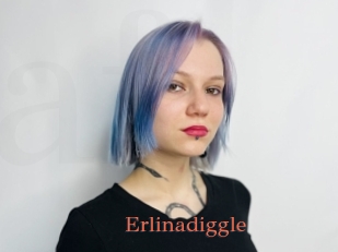 Erlinadiggle