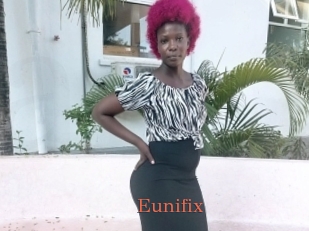 Eunifix