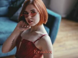 Evaafox