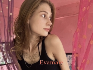 Evamate