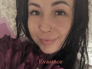 evasince Anal Favorite